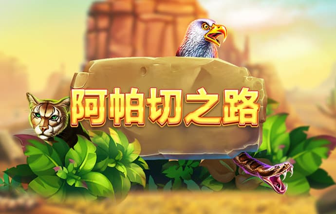 11133宝典app历史版本大全